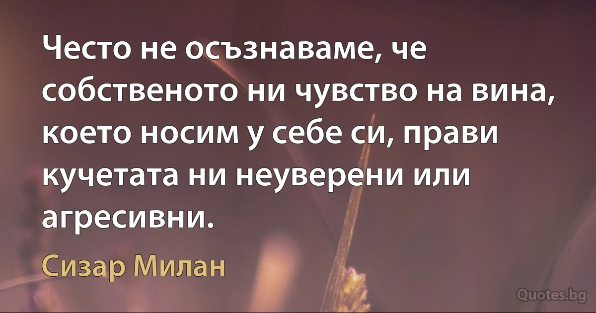 Често не осъзнаваме, че собственото ни чувство на вина, което носим у себе си, прави кучетата ни неуверени или агресивни. (Сизар Милан)