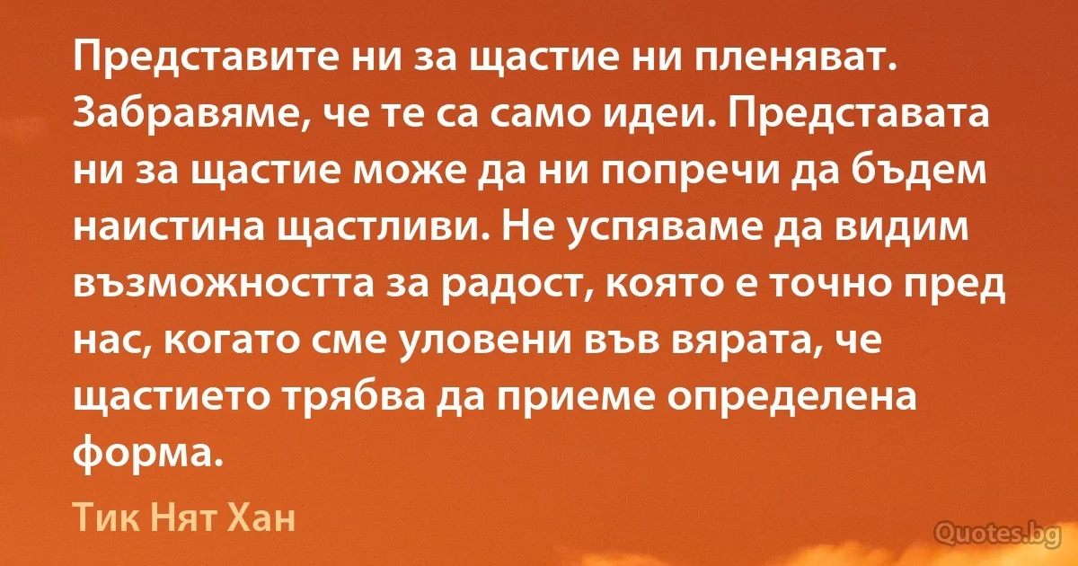 Представите ни за щастие ни пленяват. Забравяме, че те са само идеи. Представата ни за щастие може да ни попречи да бъдем наистина щастливи. Не успяваме да видим възможността за радост, която е точно пред нас, когато сме уловени във вярата, че щастието трябва да приеме определена форма. (Тик Нят Хан)