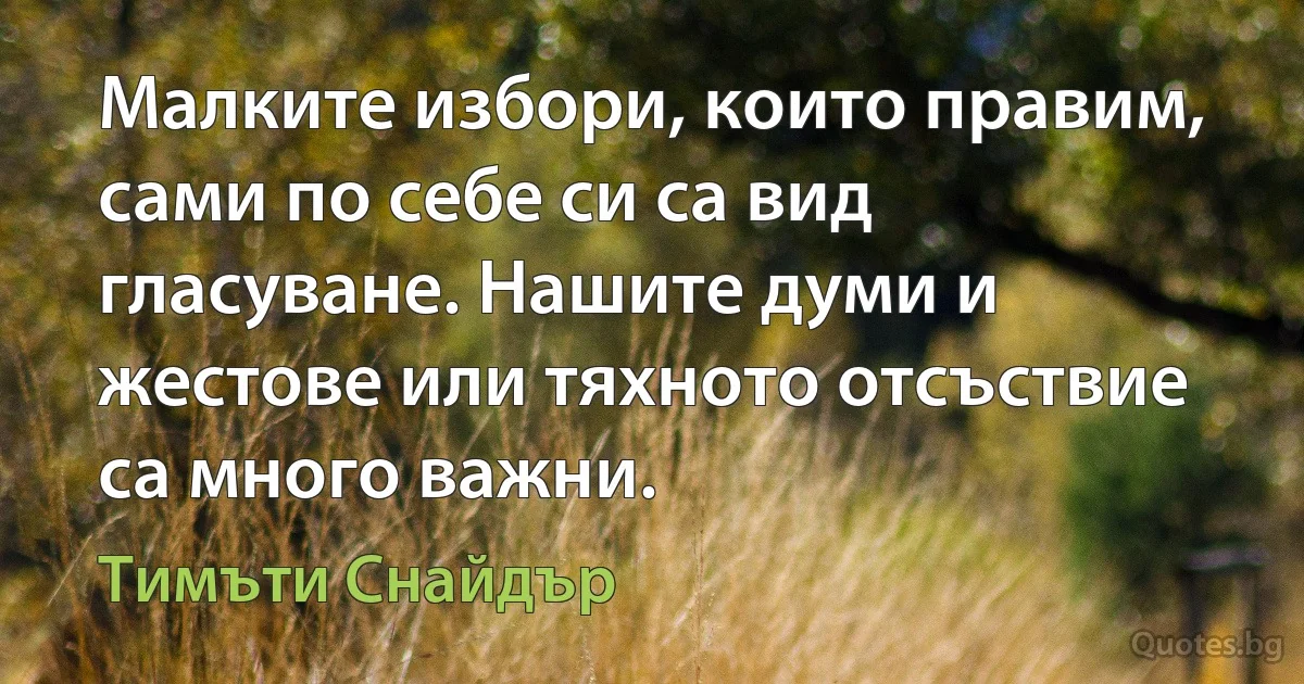 Малките избори, които правим, сами по себе си са вид гласуване. Нашите думи и жестове или тяхното отсъствие са много важни. (Тимъти Снайдър)