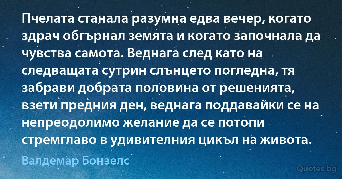 Пчелата станала разумна едва вечер, когато здрач обгърнал земята и когато започнала да чувства самота. Веднага след като на следващата сутрин слънцето погледна, тя забрави добрата половина от решенията, взети предния ден, веднага поддавайки се на непреодолимо желание да се потопи стремглаво в удивителния цикъл на живота. (Валдемар Бонзелс)