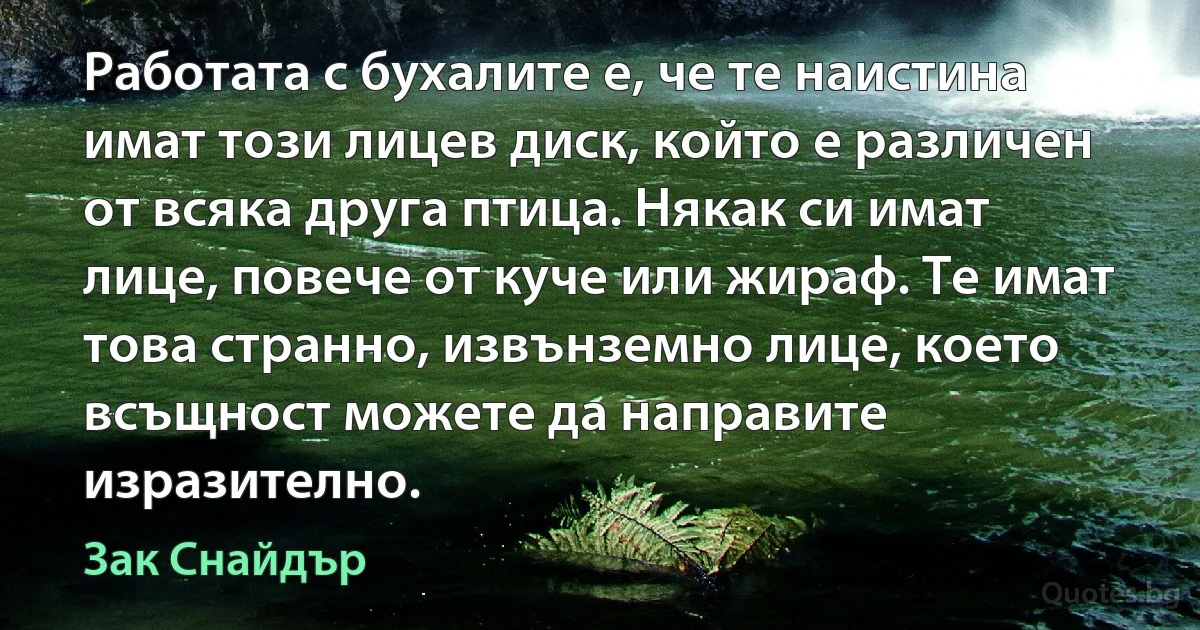 Работата с бухалите е, че те наистина имат този лицев диск, който е различен от всяка друга птица. Някак си имат лице, повече от куче или жираф. Те имат това странно, извънземно лице, което всъщност можете да направите изразително. (Зак Снайдър)