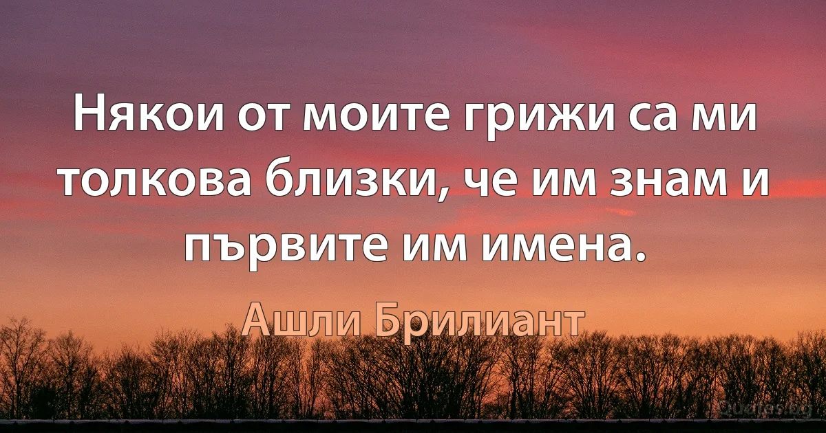 Някои от моите грижи са ми толкова близки, че им знам и първите им имена. (Ашли Брилиант)