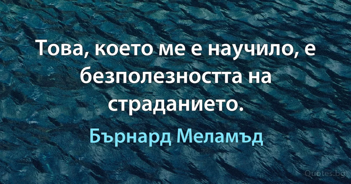 Това, което ме е научило, е безполезността на страданието. (Бърнард Меламъд)