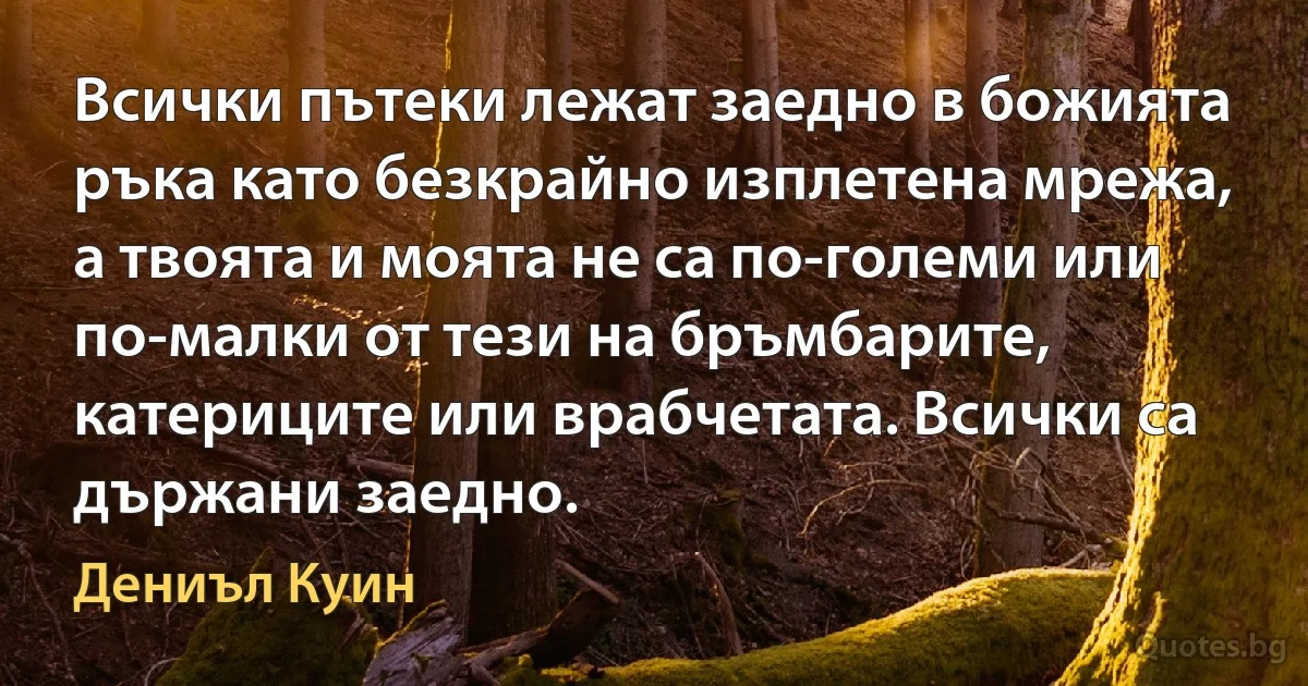 Всички пътеки лежат заедно в божията ръка като безкрайно изплетена мрежа, а твоята и моята не са по-големи или по-малки от тези на бръмбарите, катериците или врабчетата. Всички са държани заедно. (Дениъл Куин)