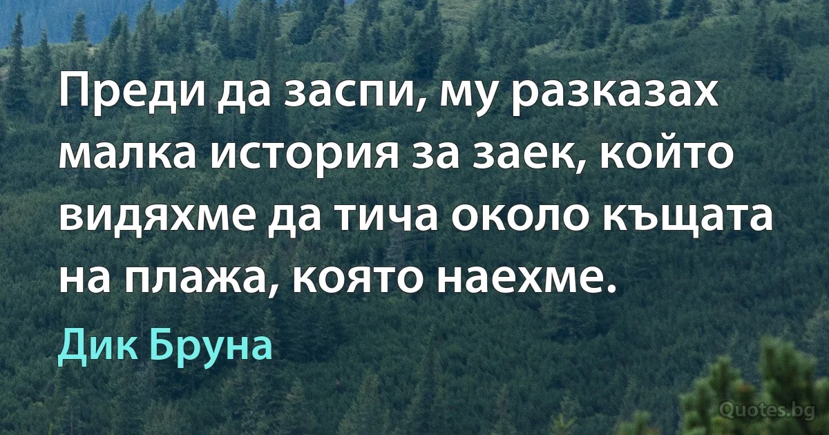 Преди да заспи, му разказах малка история за заек, който видяхме да тича около къщата на плажа, която наехме. (Дик Бруна)