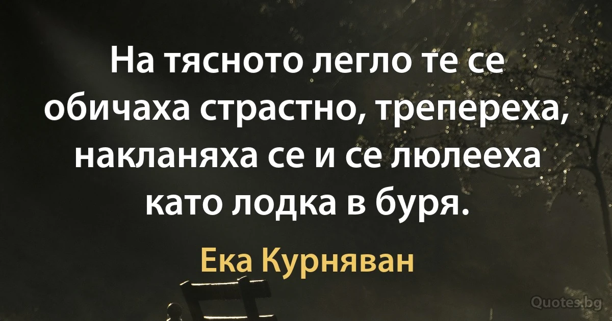 На тясното легло те се обичаха страстно, трепереха, накланяха се и се люлееха като лодка в буря. (Ека Курняван)