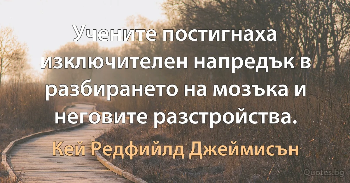 Учените постигнаха изключителен напредък в разбирането на мозъка и неговите разстройства. (Кей Редфийлд Джеймисън)