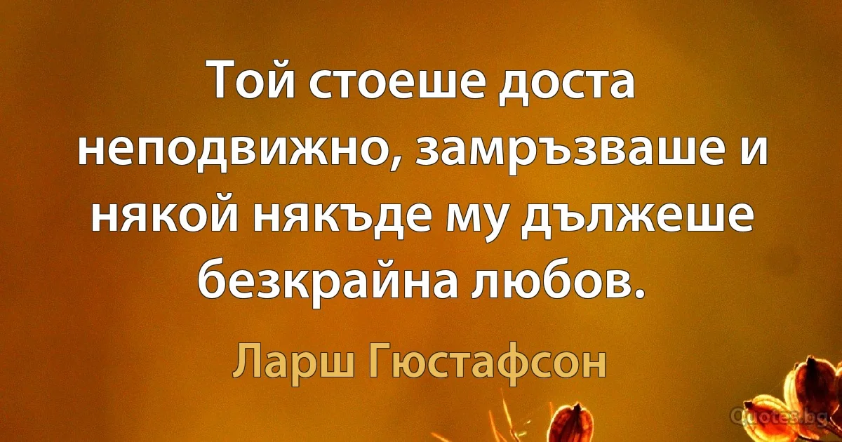 Той стоеше доста неподвижно, замръзваше и някой някъде му дължеше безкрайна любов. (Ларш Гюстафсон)