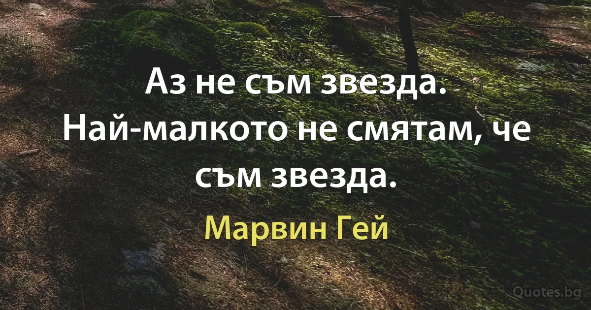 Аз не съм звезда. Най-малкото не смятам, че съм звезда. (Марвин Гей)