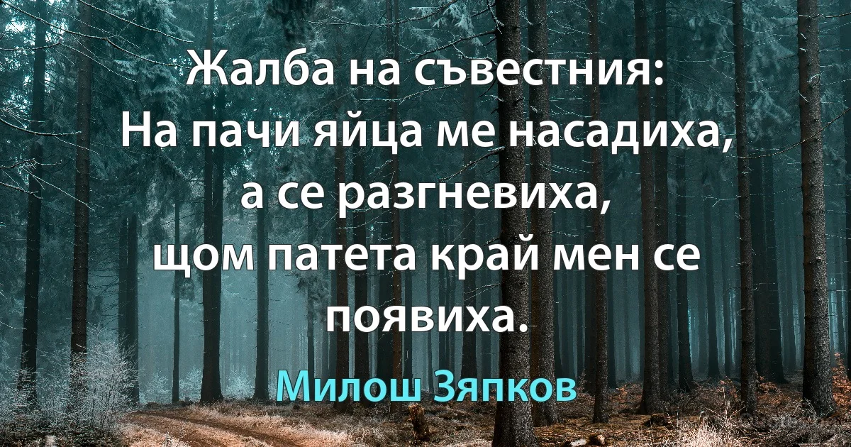 Жалба на съвестния:
На пачи яйца ме насадиха,
а се разгневиха,
щом патета край мен се появиха. (Милош Зяпков)