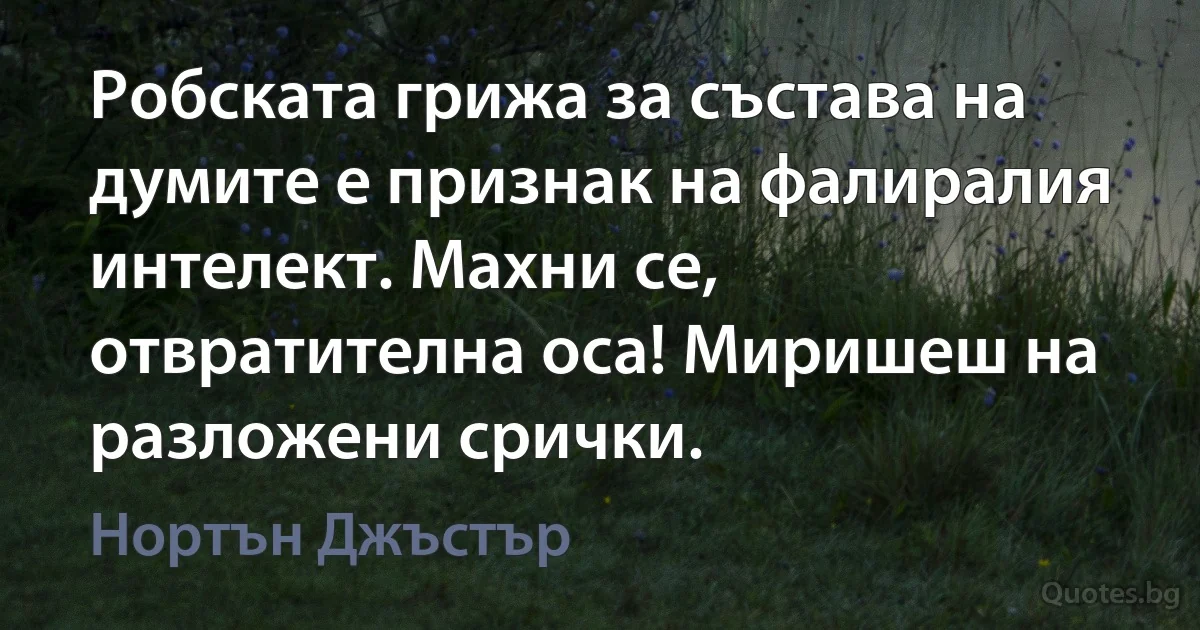 Робската грижа за състава на думите е признак на фалиралия интелект. Махни се, отвратителна оса! Миришеш на разложени срички. (Нортън Джъстър)