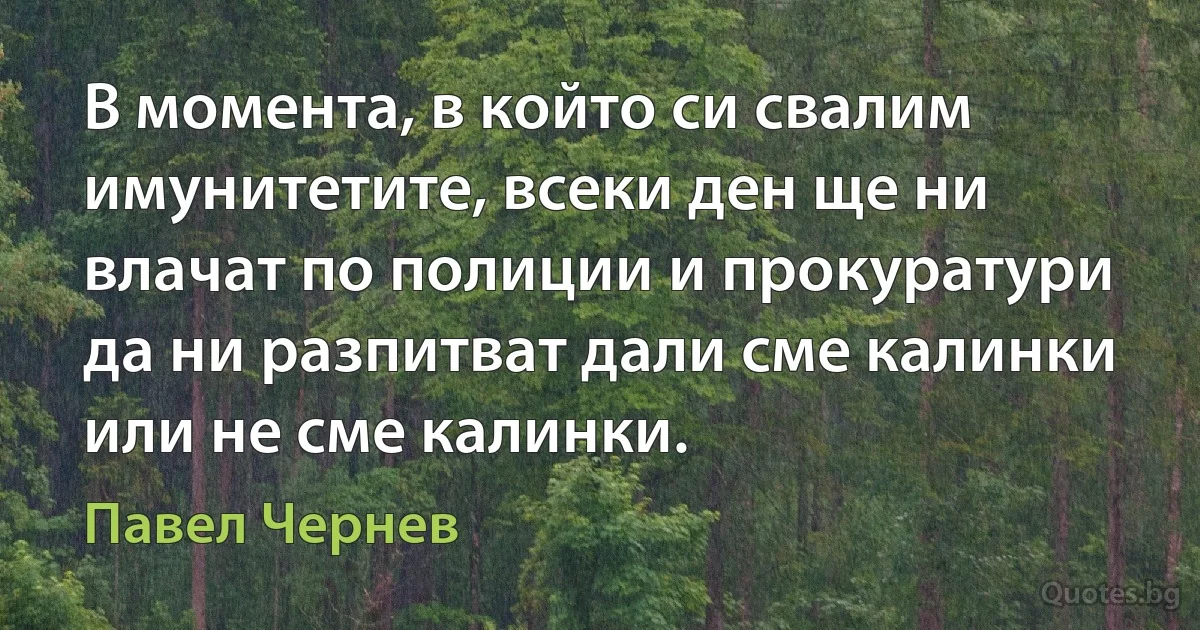 В момента, в който си свалим имунитетите, всеки ден ще ни влачат по полиции и прокуратури да ни разпитват дали сме калинки или не сме калинки. (Павел Чернев)