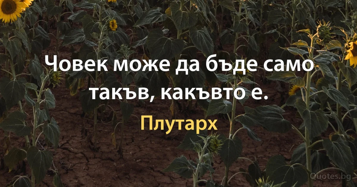 Човек може да бъде само такъв, какъвто е. (Плутарх)