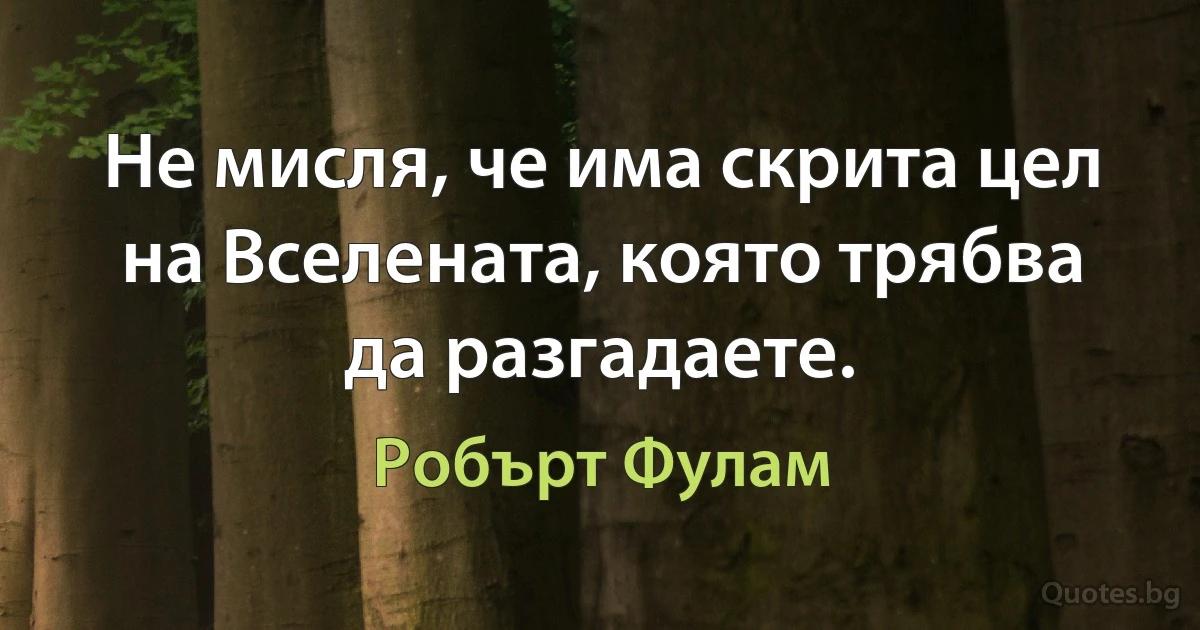 Не мисля, че има скрита цел на Вселената, която трябва да разгадаете. (Робърт Фулам)