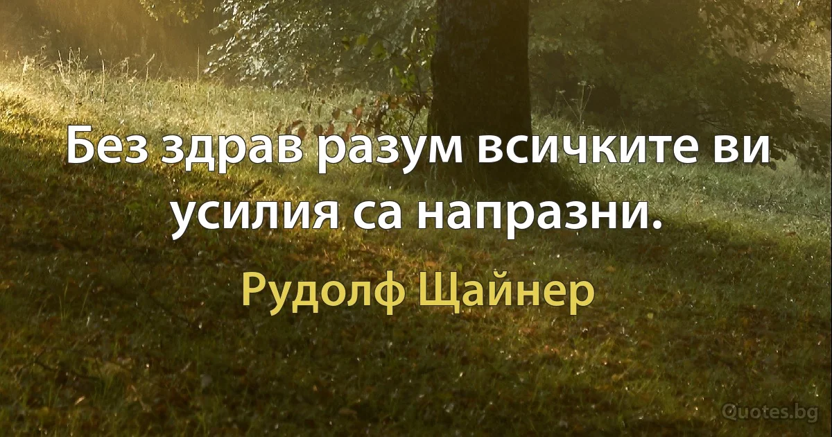 Без здрав разум всичките ви усилия са напразни. (Рудолф Щайнер)