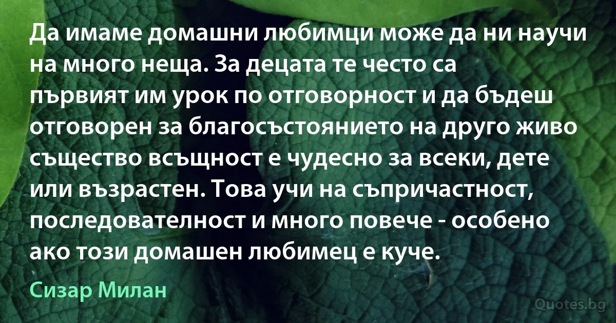 Да имаме домашни любимци може да ни научи на много неща. За децата те често са първият им урок по отговорност и да бъдеш отговорен за благосъстоянието на друго живо същество всъщност е чудесно за всеки, дете или възрастен. Това учи на съпричастност, последователност и много повече - особено ако този домашен любимец е куче. (Сизар Милан)