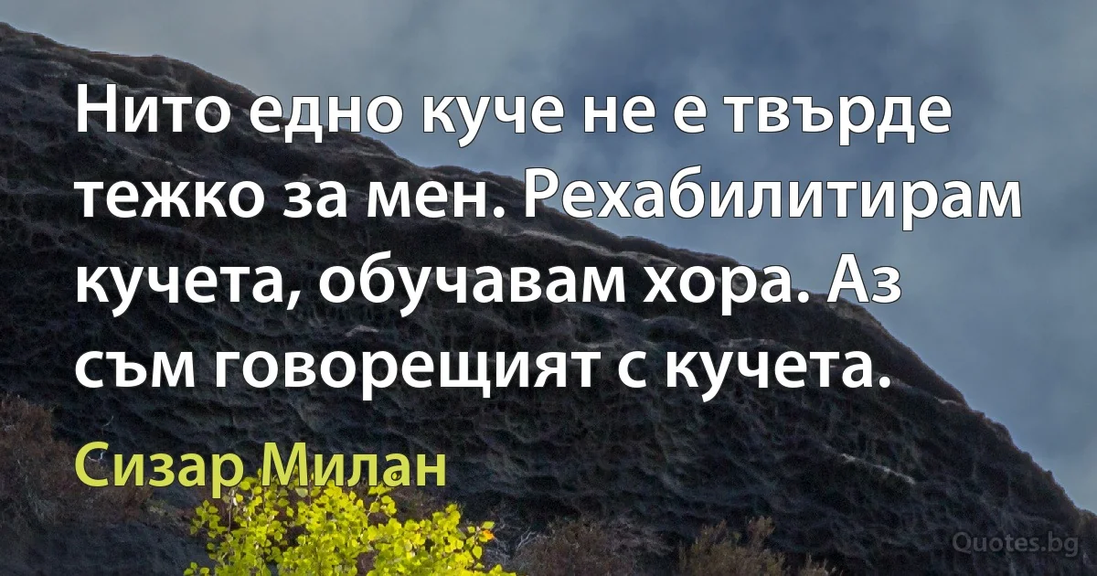 Нито едно куче не е твърде тежко за мен. Рехабилитирам кучета, обучавам хора. Аз съм говорещият с кучета. (Сизар Милан)