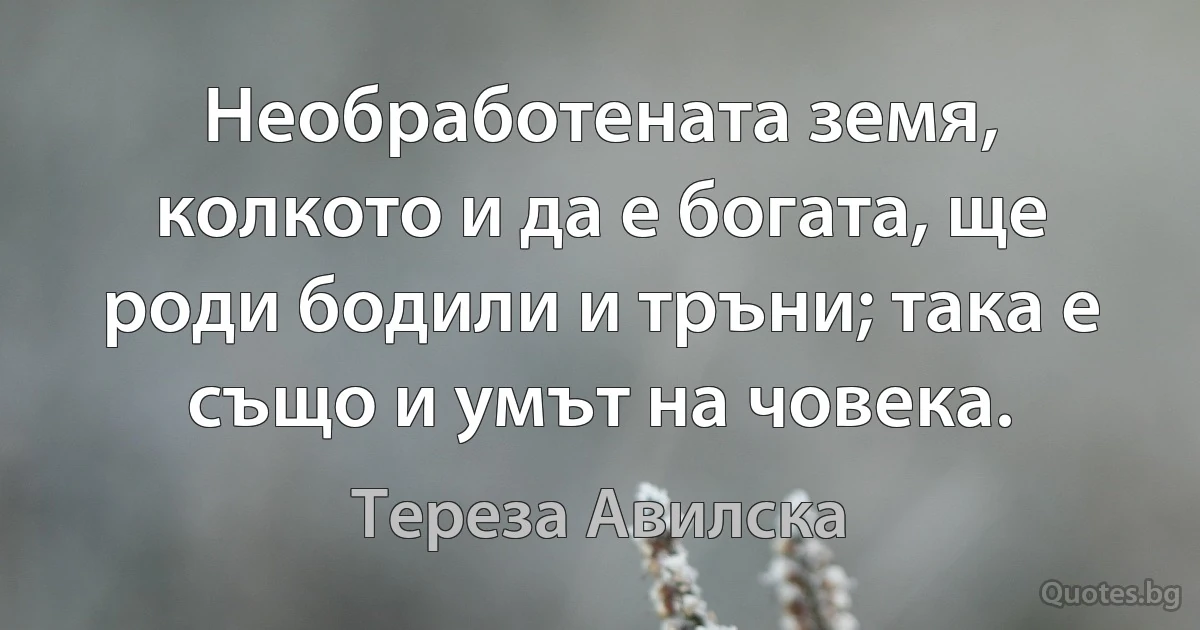 Необработената земя, колкото и да е богата, ще роди бодили и тръни; така е също и умът на човека. (Тереза Авилска)