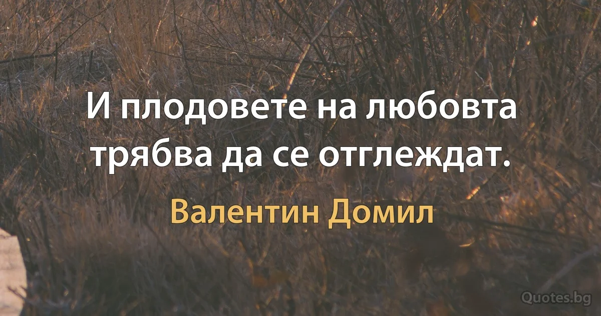 И плодовете на любовта трябва да се отглеждат. (Валентин Домил)