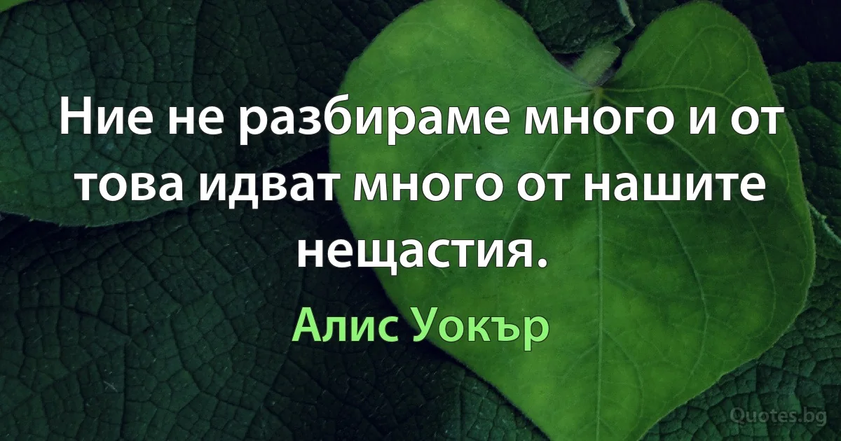 Ние не разбираме много и от това идват много от нашите нещастия. (Алис Уокър)