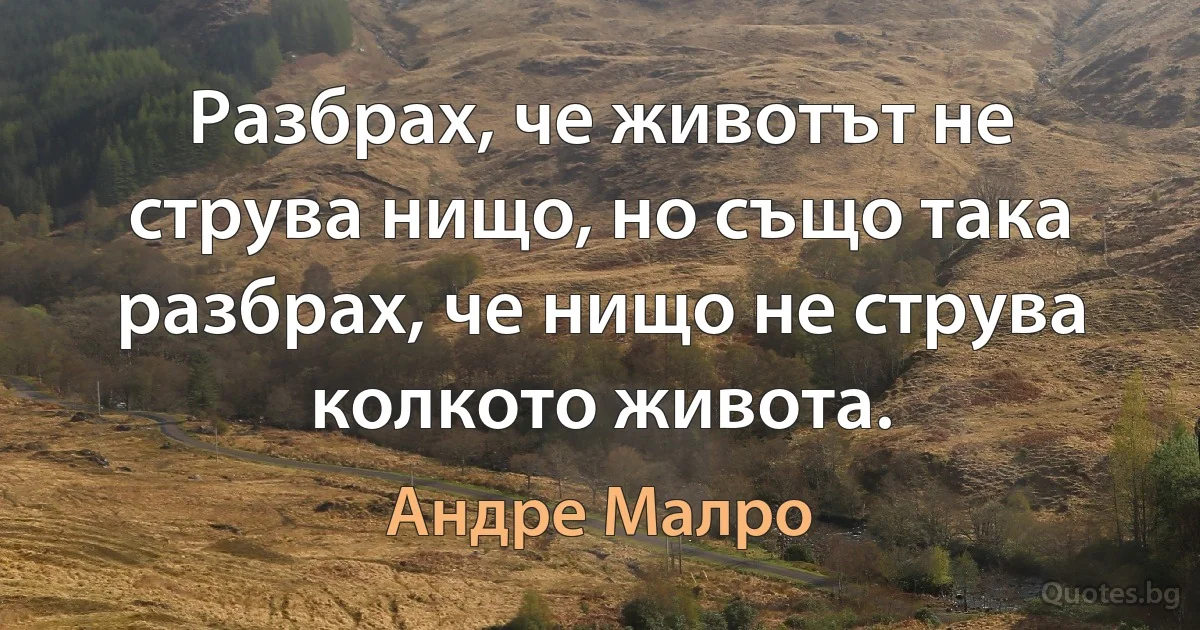 Разбрах, че животът не струва нищо, но също така разбрах, че нищо не струва колкото живота. (Андре Малро)