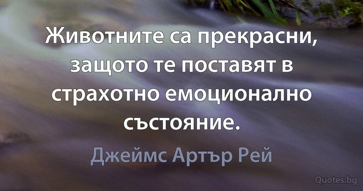 Животните са прекрасни, защото те поставят в страхотно емоционално състояние. (Джеймс Артър Рей)