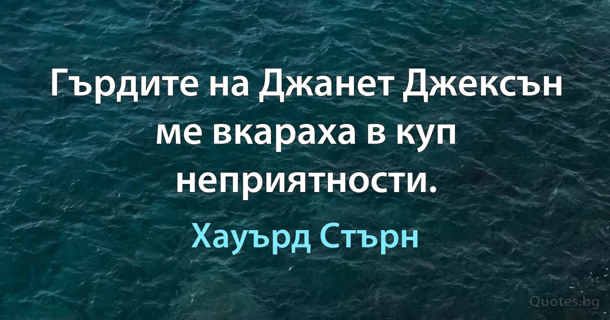 Гърдите на Джанет Джексън ме вкараха в куп неприятности. (Хауърд Стърн)