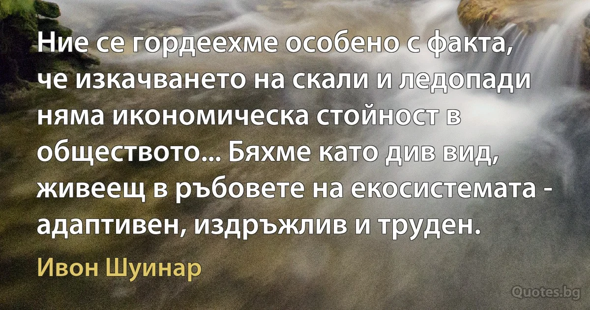 Ние се гордеехме особено с факта, че изкачването на скали и ледопади няма икономическа стойност в обществото... Бяхме като див вид, живеещ в ръбовете на екосистемата - адаптивен, издръжлив и труден. (Ивон Шуинар)