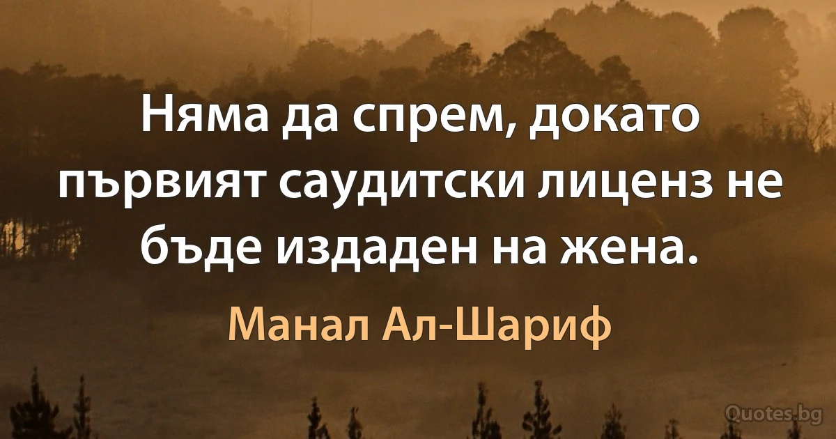 Няма да спрем, докато първият саудитски лиценз не бъде издаден на жена. (Манал Ал-Шариф)