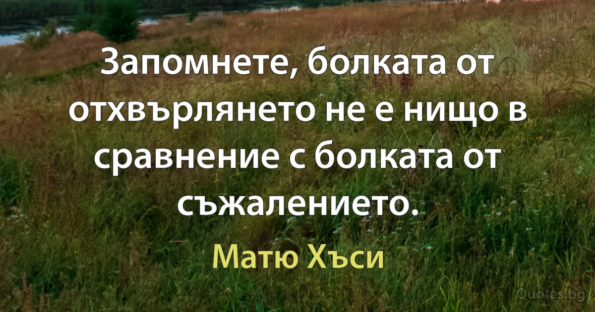 Запомнете, болката от отхвърлянето не е нищо в сравнение с болката от съжалението. (Матю Хъси)