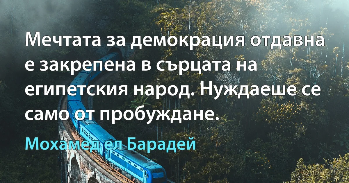 Мечтата за демокрация отдавна е закрепена в сърцата на египетския народ. Нуждаеше се само от пробуждане. (Мохамед ел Барадей)