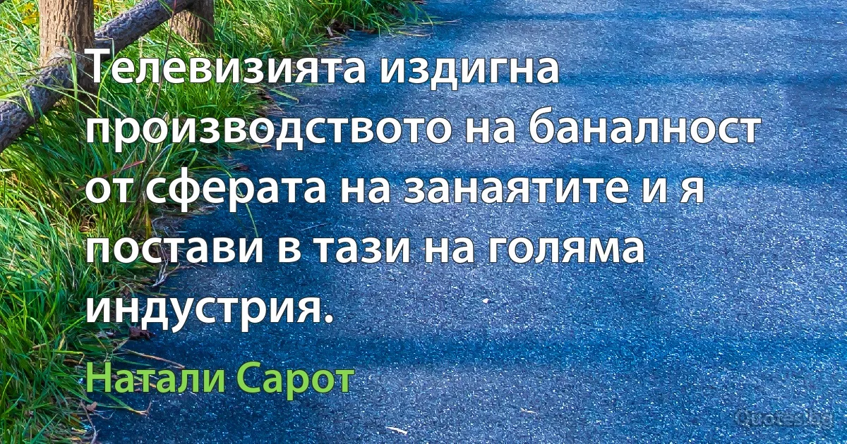 Телевизията издигна производството на баналност от сферата на занаятите и я постави в тази на голяма индустрия. (Натали Сарот)