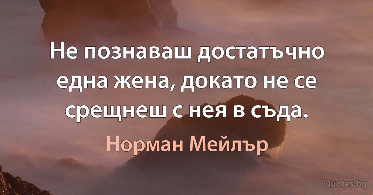 Не познаваш достатъчно една жена, докато не се срещнеш с нея в съда. (Норман Мейлър)