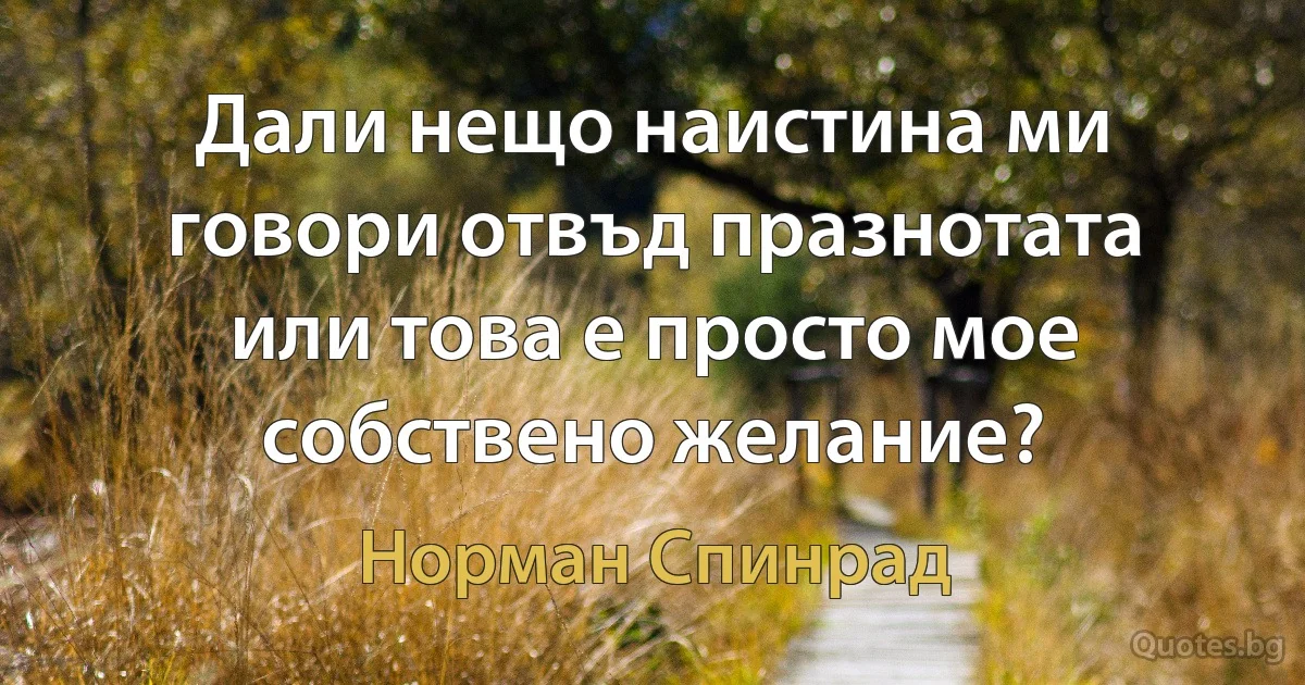 Дали нещо наистина ми говори отвъд празнотата или това е просто мое собствено желание? (Норман Спинрад)