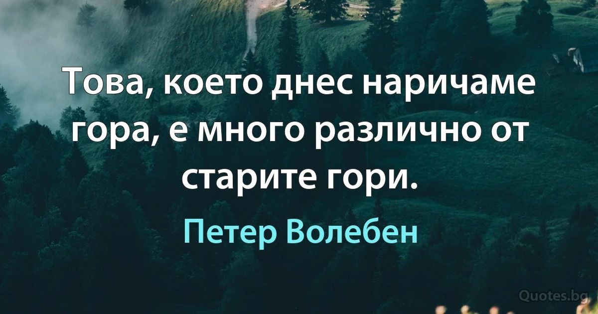 Това, което днес наричаме гора, е много различно от старите гори. (Петер Волебен)