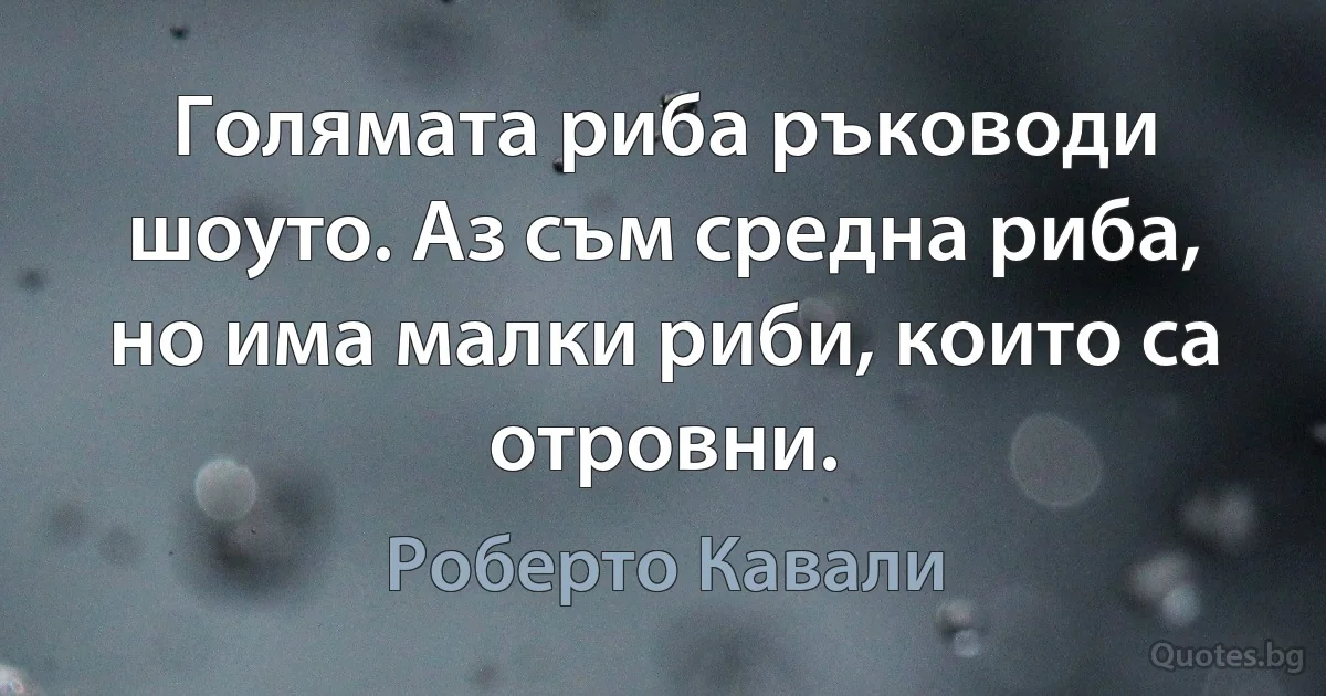 Голямата риба ръководи шоуто. Аз съм средна риба, но има малки риби, които са отровни. (Роберто Кавали)