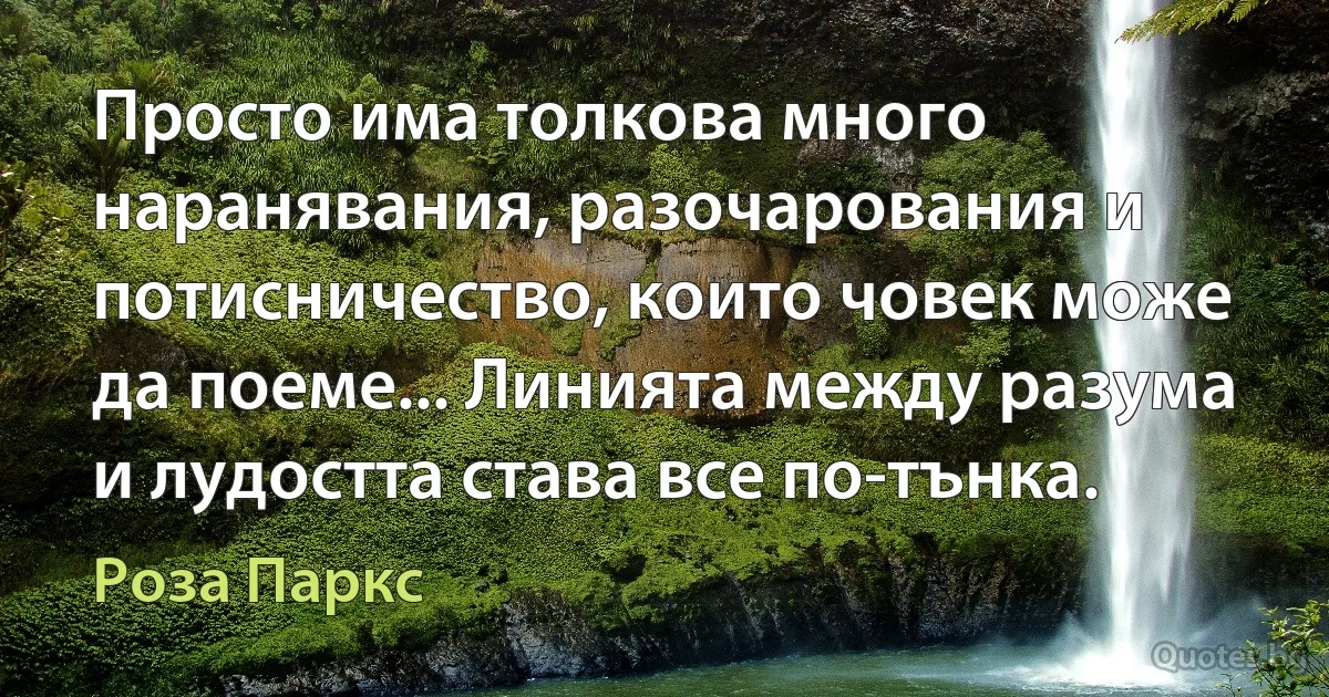 Просто има толкова много наранявания, разочарования и потисничество, които човек може да поеме... Линията между разума и лудостта става все по-тънка. (Роза Паркс)