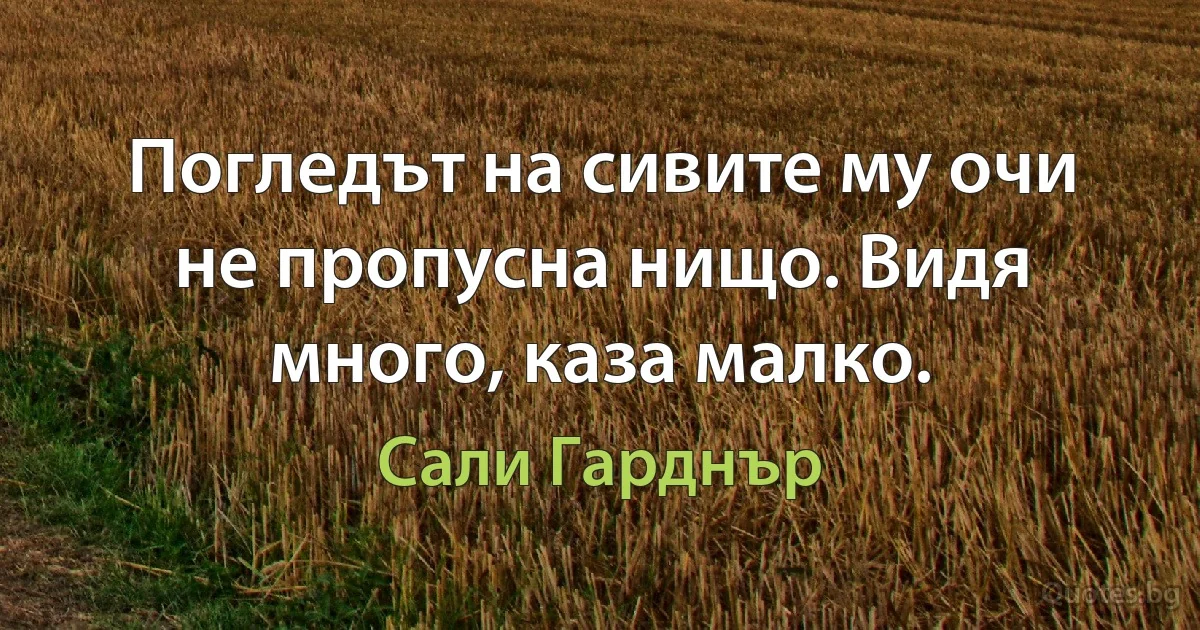 Погледът на сивите му очи не пропусна нищо. Видя много, каза малко. (Сали Гарднър)