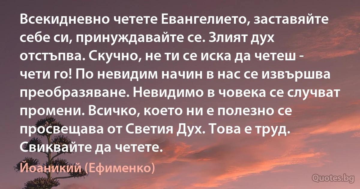 Всекидневно четете Евангелието, заставяйте себе си, принуждавайте се. Злият дух отстъпва. Скучно, не ти се иска да четеш - чети го! По невидим начин в нас се извършва преобразяване. Невидимо в човека се случват промени. Всичко, което ни е полезно се просвещава от Светия Дух. Това е труд. Свиквайте да четете. (Йоаникий (Ефименко))