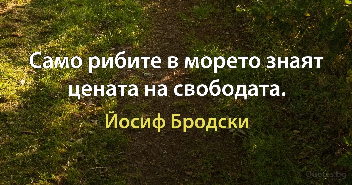 Само рибите в морето знаят цената на свободата. (Йосиф Бродски)