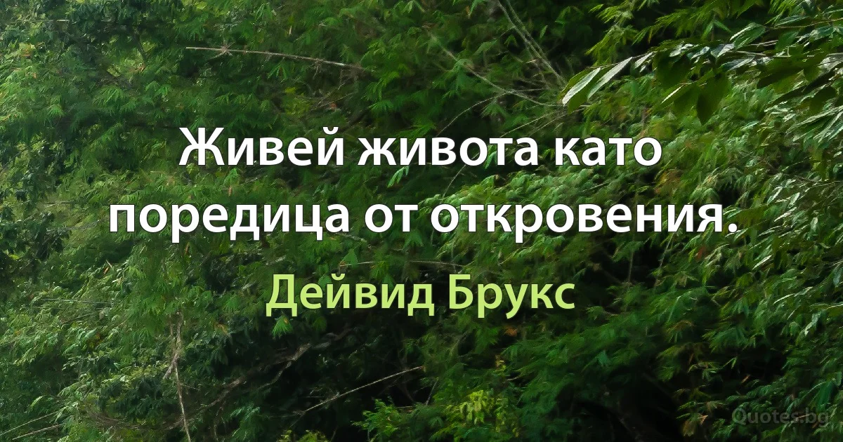 Живей живота като поредица от откровения. (Дейвид Брукс)