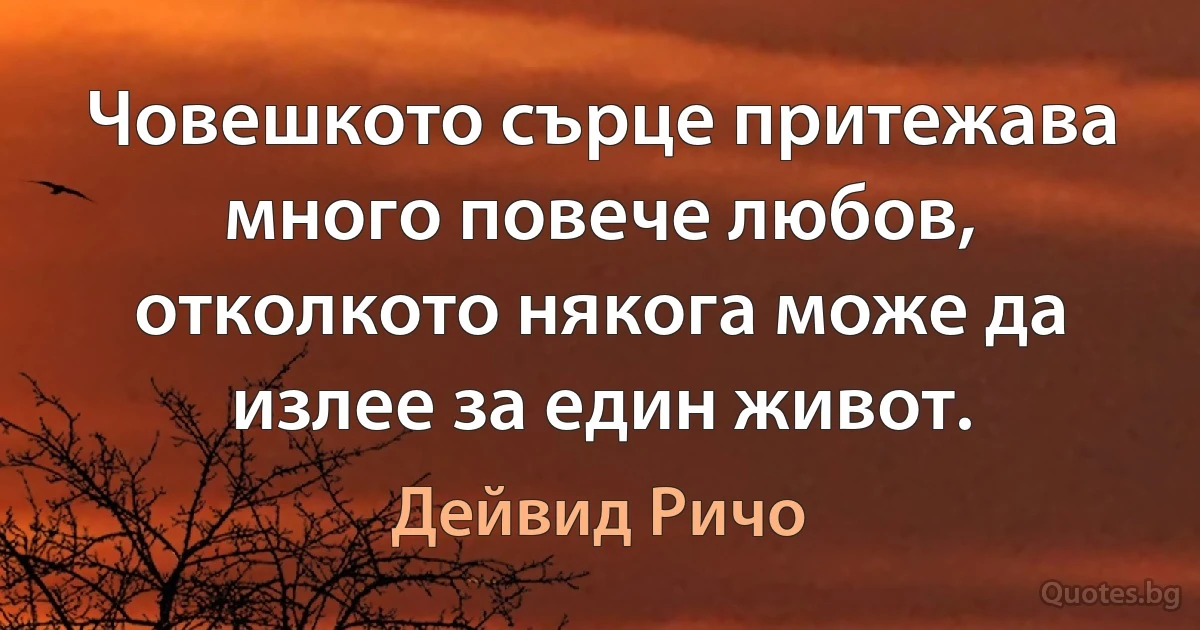 Човешкото сърце притежава много повече любов, отколкото някога може да излее за един живот. (Дейвид Ричо)