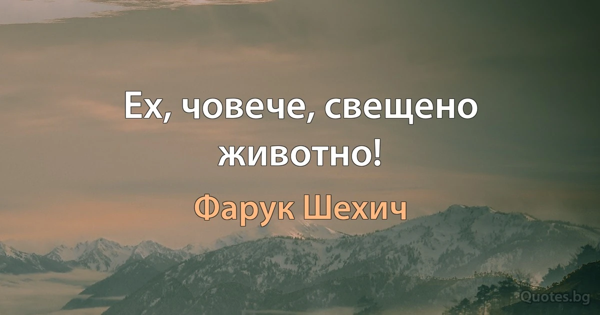 Ех, човече, свещено животно! (Фарук Шехич)