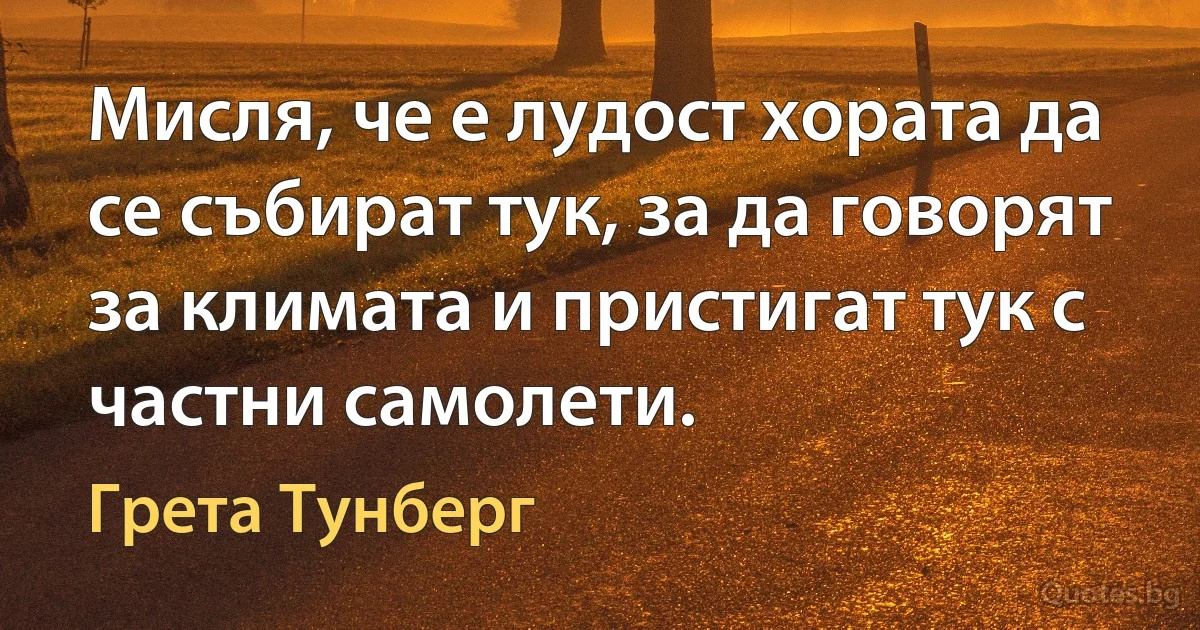 Мисля, че е лудост хората да се събират тук, за да говорят за климата и пристигат тук с частни самолети. (Грета Тунберг)