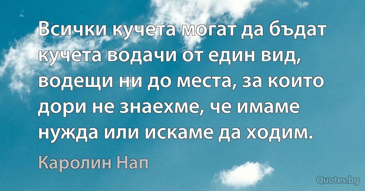 Всички кучета могат да бъдат кучета водачи от един вид, водещи ни до места, за които дори не знаехме, че имаме нужда или искаме да ходим. (Каролин Нап)