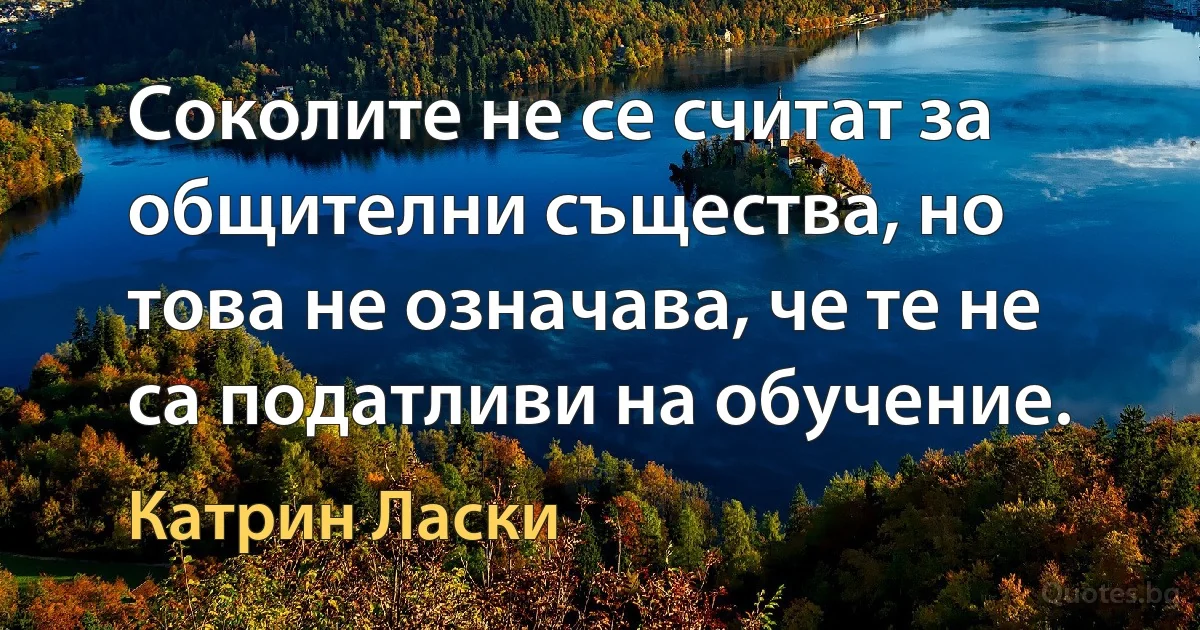 Соколите не се считат за общителни същества, но това не означава, че те не са податливи на обучение. (Катрин Ласки)