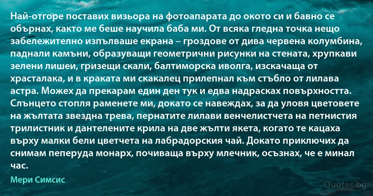 Най-отгоре поставих визьора на фотоапарата до окото си и бавно се обърнах, както ме беше научила баба ми. От всяка гледна точка нещо забележително изпълваше екрана – гроздове от дива червена колумбина, паднали камъни, образуващи геометрични рисунки на стената, хрупкави зелени лишеи, гризещи скали, балтиморска иволга, изскачаща от храсталака, и в краката ми скакалец прилепнал към стъбло от лилава астра. Можех да прекарам един ден тук и едва надрасках повърхността. Слънцето стопля раменете ми, докато се навеждах, за да уловя цветовете на жълтата звездна трева, пернатите лилави венчелистчета на петнистия трилистник и дантелените крила на две жълти якета, когато те кацаха върху малки бели цветчета на лабрадорския чай. Докато приключих да снимам пеперуда монарх, почиваща върху млечник, осъзнах, че е минал час. (Мери Симсис)