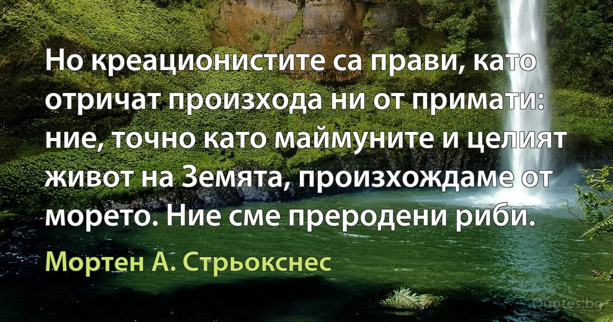 Но креационистите са прави, като отричат произхода ни от примати: ние, точно като маймуните и целият живот на Земята, произхождаме от морето. Ние сме преродени риби. (Мортен А. Стрьокснес)