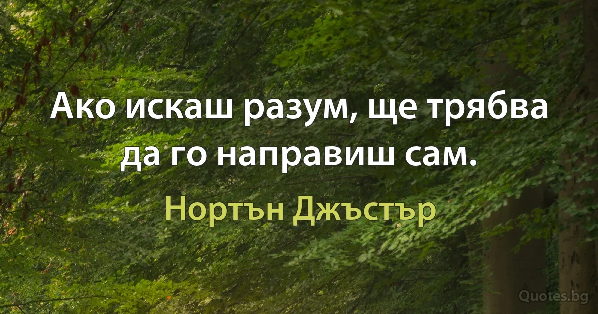 Ако искаш разум, ще трябва да го направиш сам. (Нортън Джъстър)