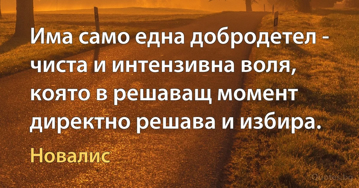 Има само една добродетел - чиста и интензивна воля, която в решаващ момент директно решава и избира. (Новалис)